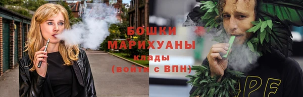 гашик Верея