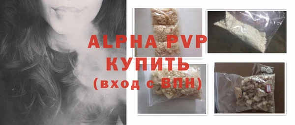 гашик Верея