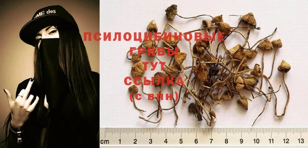 мдма Бородино
