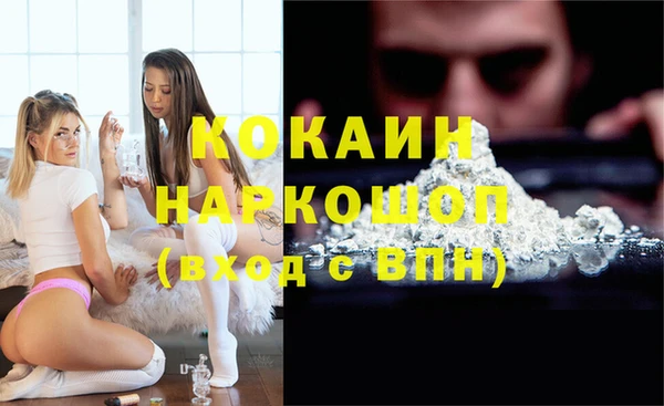 гашик Верея