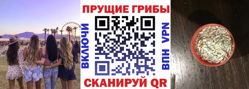 закладки мега ONION Галлюциногенные грибы ЛСД Междуреченск